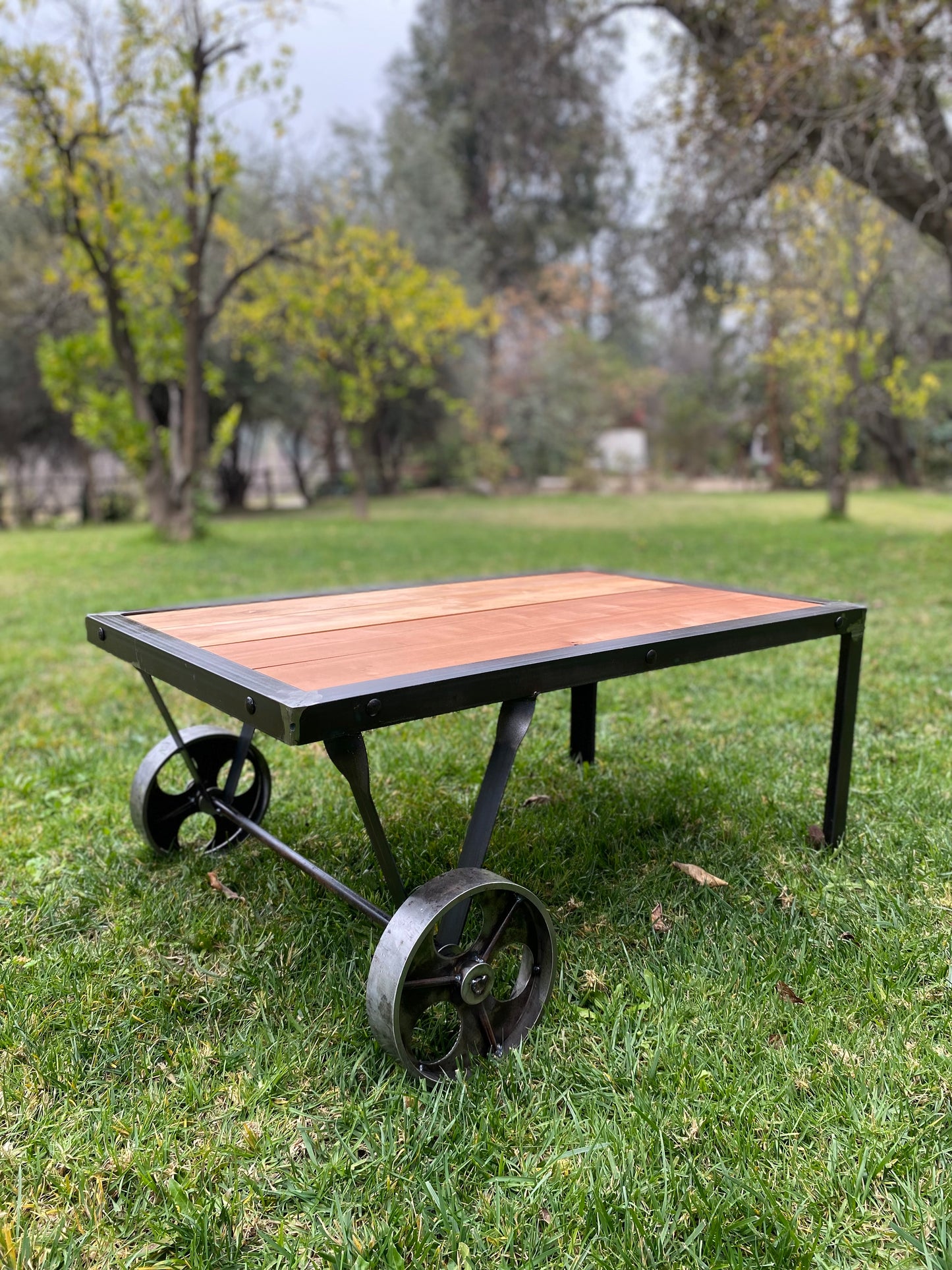 Mesa de fierro con cubierta de roble